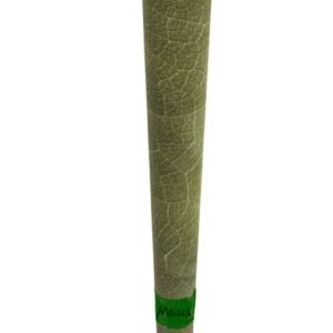 Palm leaf corn hask filter Size- 110 mm